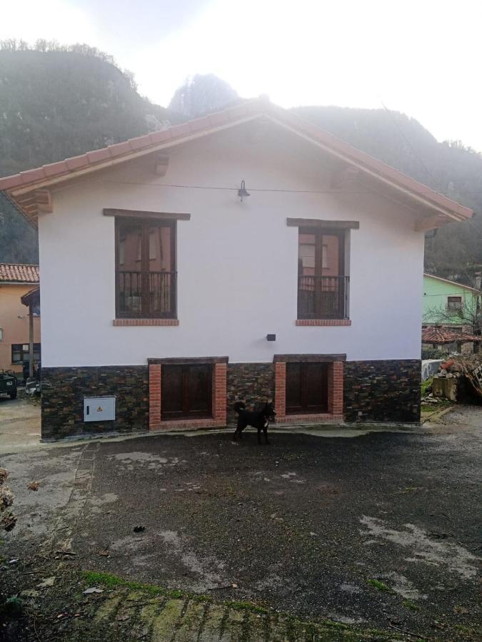 Casa Rural Gueilones, Parque Natural De Ponga Sobrefoz Εξωτερικό φωτογραφία